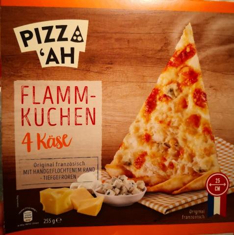 Flammkuchen 4 Käse von steffiklein113 | Hochgeladen von: steffiklein113