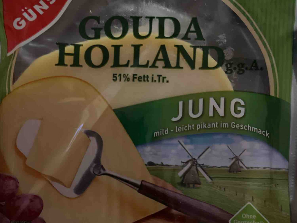 Holländischer Gouda jung , 48% Fett i.Tr.  von CoDa | Hochgeladen von: CoDa