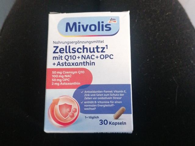 Hochgeladen von: vcbloemer