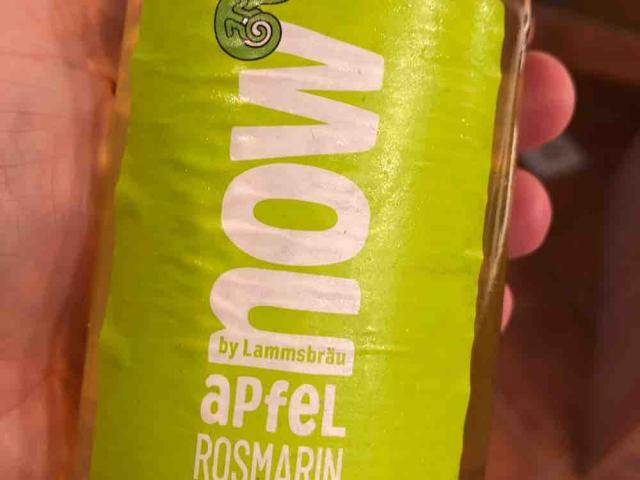 Apfel-Rosmarin Bio-Limo von Pfeffertopf | Hochgeladen von: Pfeffertopf