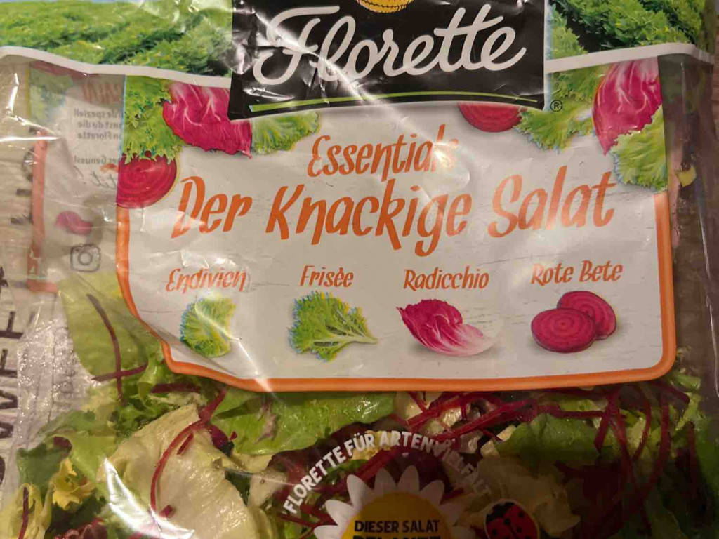 Der knackige Salat von bomuthel | Hochgeladen von: bomuthel