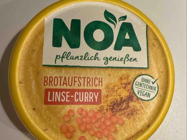 NOA  Brotaufstrich Linse-Curry von FabianWalter | Hochgeladen von: FabianWalter