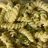 Broccoli Nudeln, mit Cremfine von senta1104 | Hochgeladen von: senta1104
