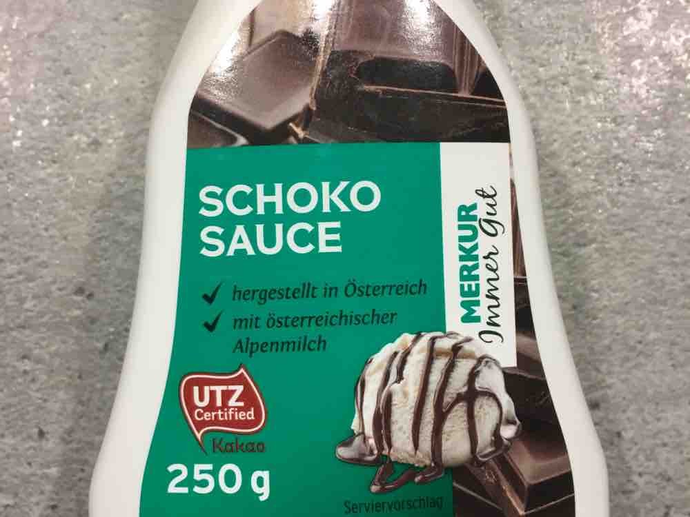 Schoko Sauce von Mucki2351 | Hochgeladen von: Mucki2351
