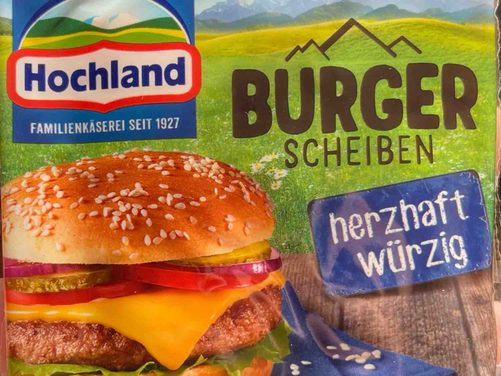 Burger Scheiben, herzhaft würzig von mike652 | Hochgeladen von: mike652