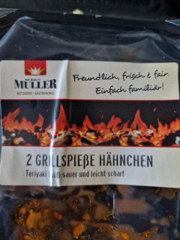 grillspieß hänchen, ter von Chris15 | Hochgeladen von: Chris15