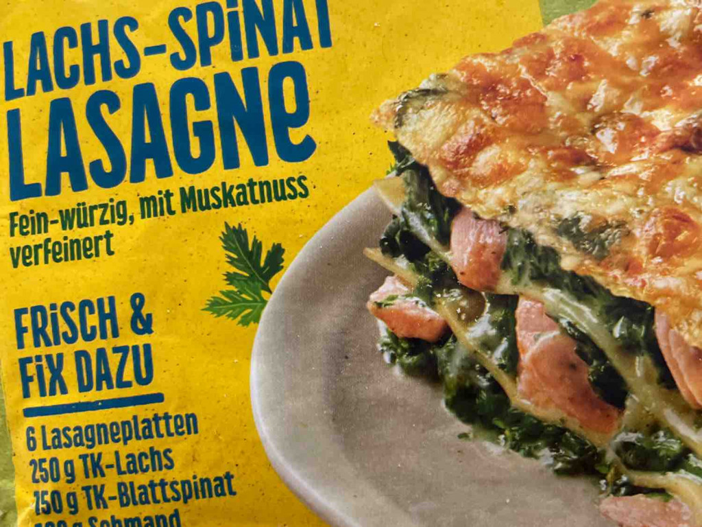 lachs spinat lasagne von MF94 | Hochgeladen von: MF94