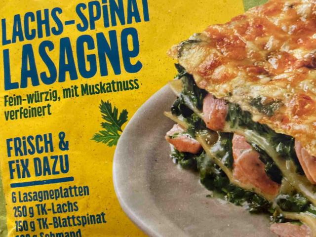 lachs spinat lasagne von MF94 | Hochgeladen von: MF94