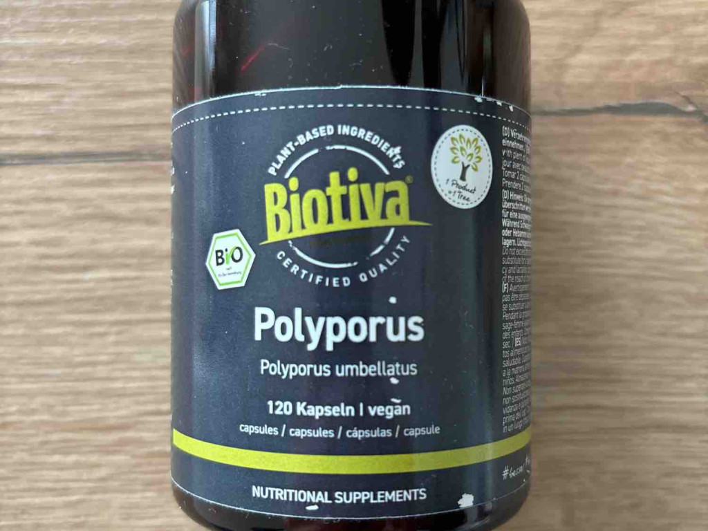 Biotiva Polyporus (Eichhase) von tk_fddb | Hochgeladen von: tk_fddb