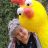 m.koeppl@gmx.de