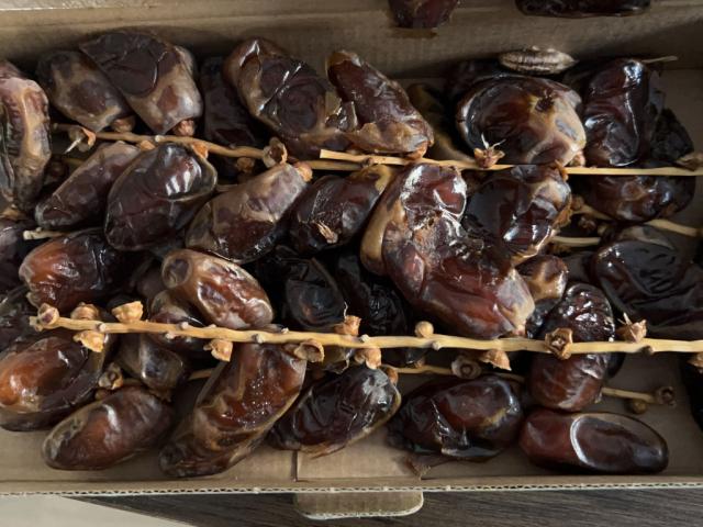 Hochgeladen von: nabilchabrak