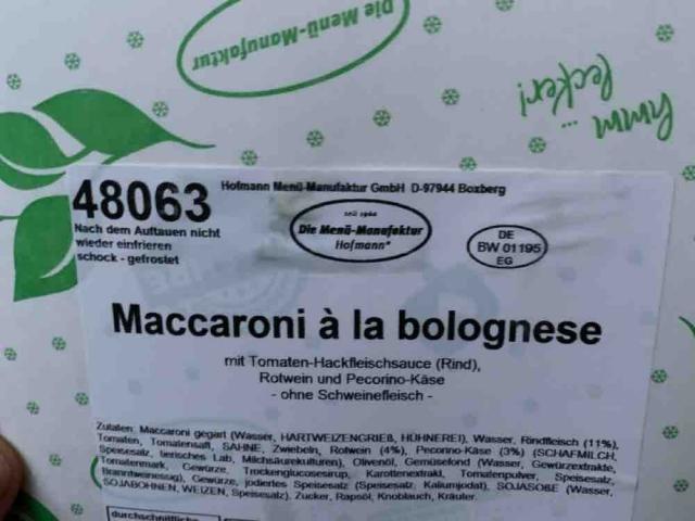 08065 Maccaroni á la Bolognese  von IngoMartin | Hochgeladen von: IngoMartin