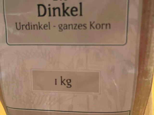 Bio Dinkel Urdinkel, ganzes Korn von JanJohann | Hochgeladen von: JanJohann