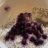 Chia Pudding  mit Magerquark und Himbeeren, Hafermilch von desti | Hochgeladen von: destiny91126
