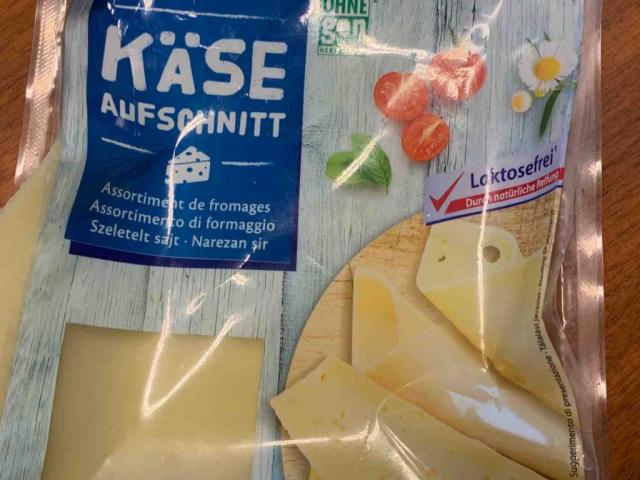 Käse Aufschnitt (Hofer) von Haasal | Hochgeladen von: Haasal