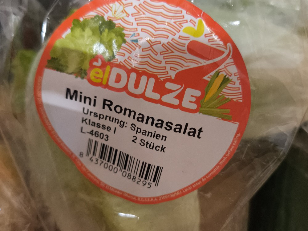 Hochgeladen von: Franziska Kaufhold