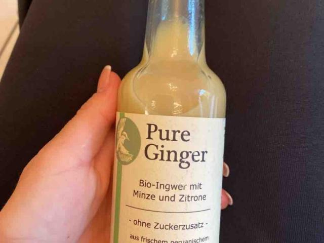 Pure Ginger, Bio Ingwerkonzentrat von alika7 | Hochgeladen von: alika7