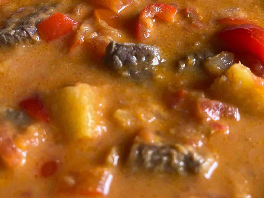 Paprika-Curry-Suppe mit Rindfleisch von auroranuklearis | Hochgeladen von: auroranuklearis