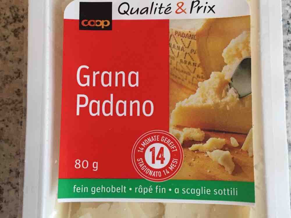 Grana Padano , fein gehobelt  von corinagartmann529 | Hochgeladen von: corinagartmann529