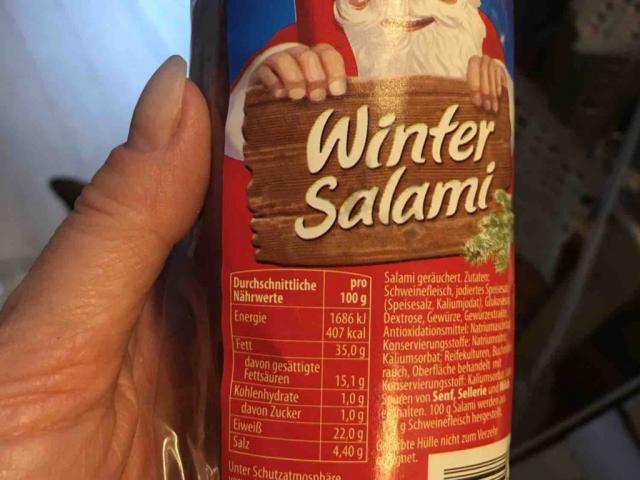 Winter Salami von Dezemberkatze | Hochgeladen von: Dezemberkatze