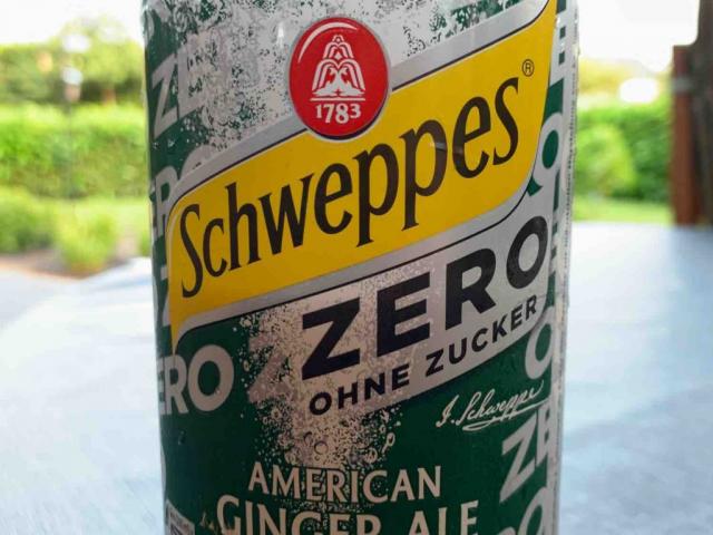 Schweppes American Ginger Ale Zero von TomcatMV | Hochgeladen von: TomcatMV