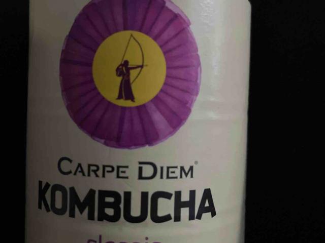 Kombucha, classic by BenjaminElefant | Hochgeladen von: BenjaminElefant