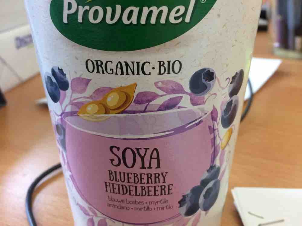 Provamel Bio-Organic Soja, Heidelbeere von Lemmchen | Hochgeladen von: Lemmchen