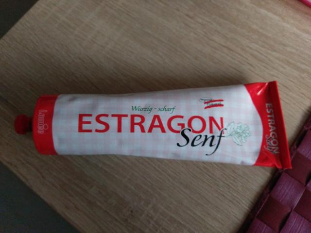 Estragon Senf, würzig-scharf von nittre574 | Hochgeladen von: nittre574