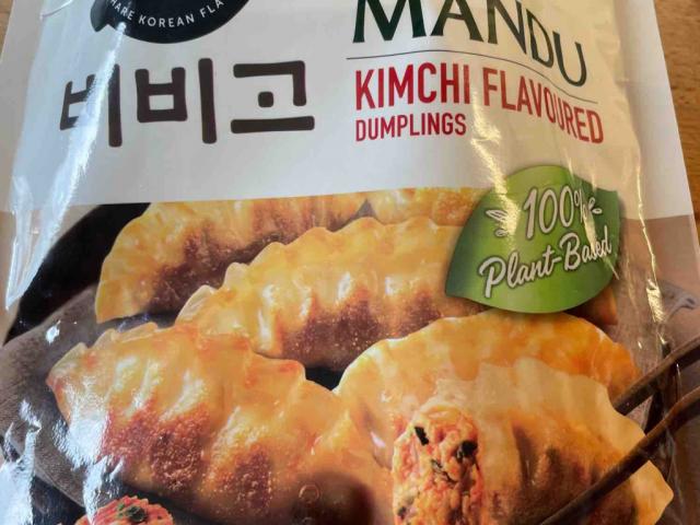 Dumplings, Kimchi flavoured von marcschnd | Hochgeladen von: marcschnd