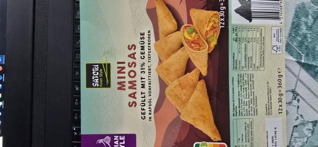 Mini Samosas, Indian style | Hochgeladen von: kindeljan