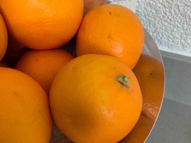 Tarocco Orange von gioele | Hochgeladen von: gioele