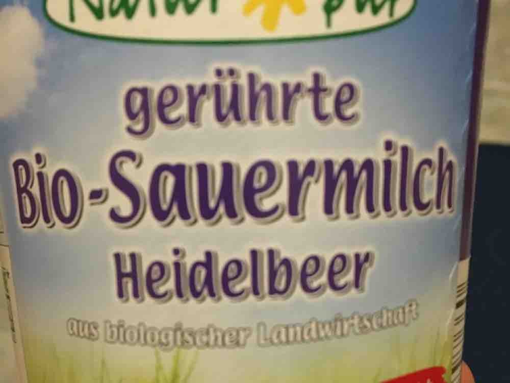 Bio Sauermilch gerührt, Heidelbeer von mluschin | Hochgeladen von: mluschin