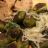 EoK Brokkoli-Gnocchi mit Parmesan von maus112 | Hochgeladen von: maus112