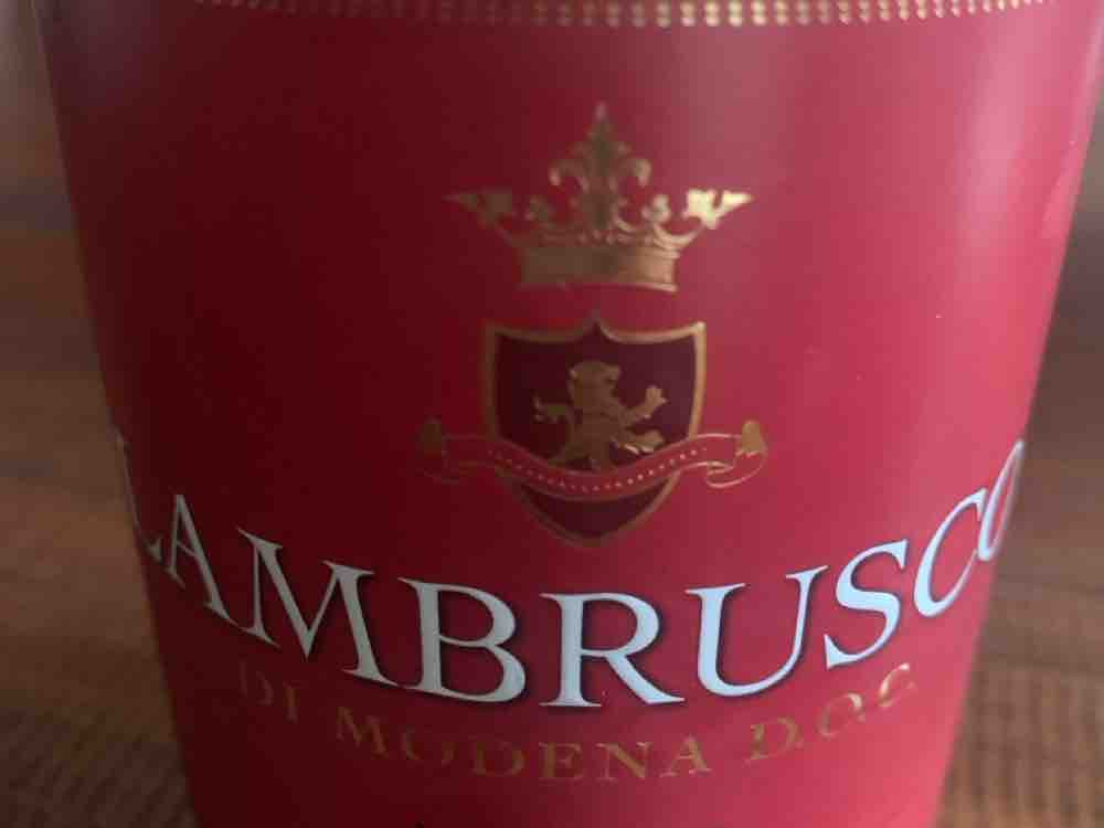 Lambrusco, Di Modena 8% von susannehess | Hochgeladen von: susannehess