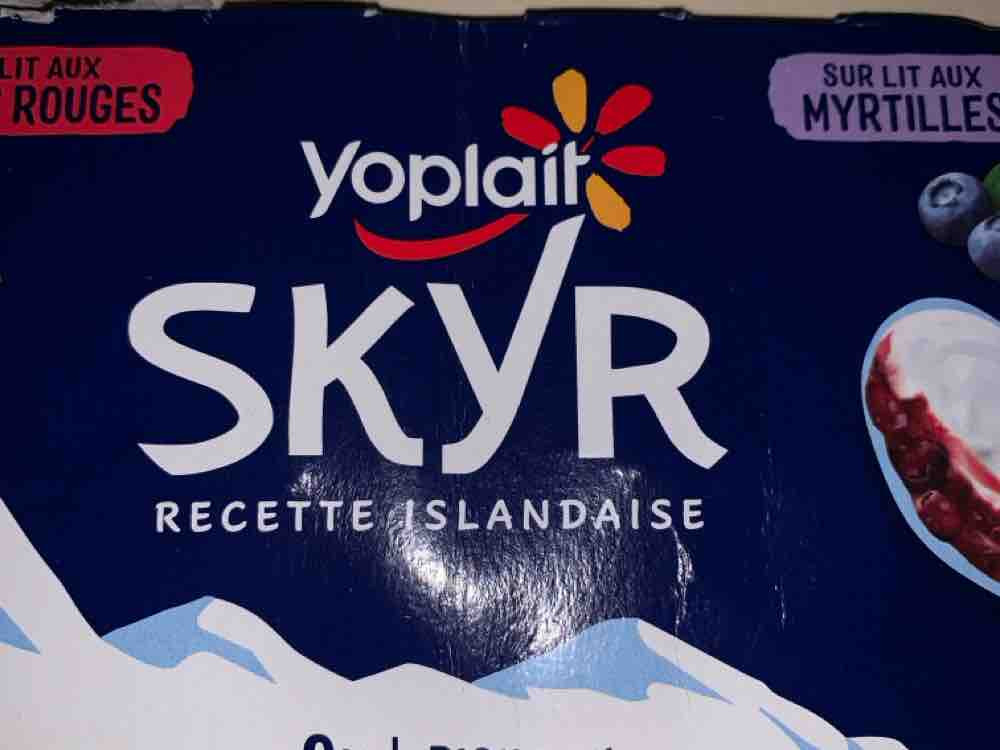 Skyr, recette islandais by me88kg | Hochgeladen von: me88kg