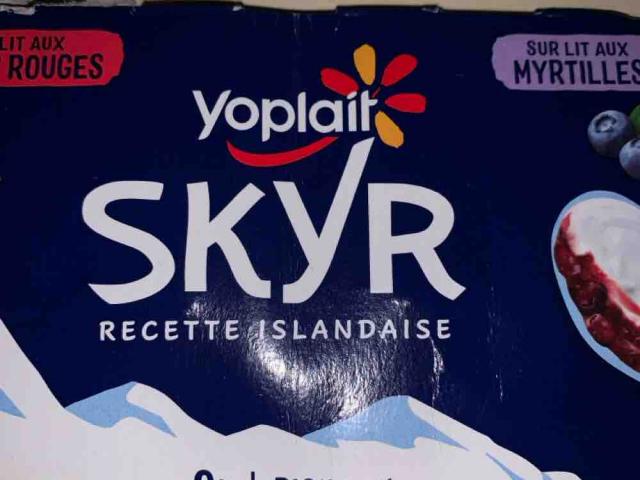 Skyr, recette islandais by me88kg | Uploaded by: me88kg
