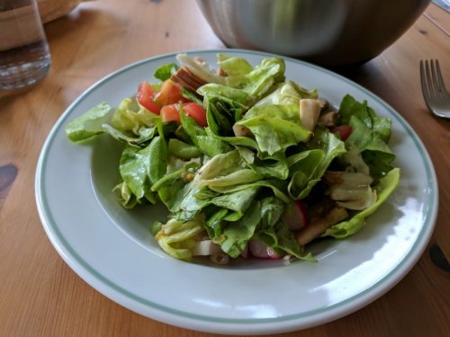 Salat mit Essig/Öl Dressing | Hochgeladen von: motp