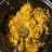Curryreis, mit Huhn von Schoeni12 | Hochgeladen von: Schoeni12