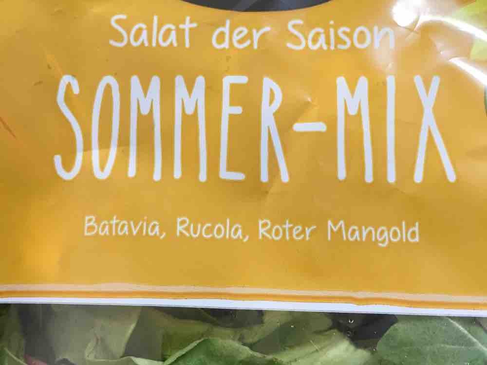 Salat der Saison, Winter Mix von M.o.S. | Hochgeladen von: M.o.S.