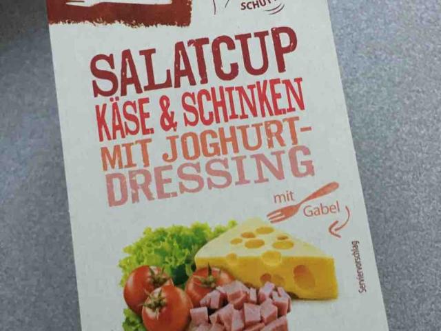 Salat-Cup , Käse und Schinken mit Joghurtdressing  von doriswenz | Hochgeladen von: doriswenzel488