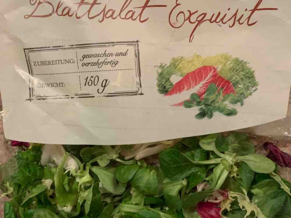 Blattsalat Exquisit, Salatmischung von PeGaSus16 | Hochgeladen von: PeGaSus16