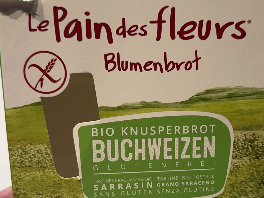 BIO KNUSPERBROT BUCHWEIZEN, glutenfrei von micafelicitas | Hochgeladen von: micafelicitas BIO KNUSPERBROT BUCHWEIZEN, glutenfrei von micafelicitas | Hochgeladen von: micafelicitas