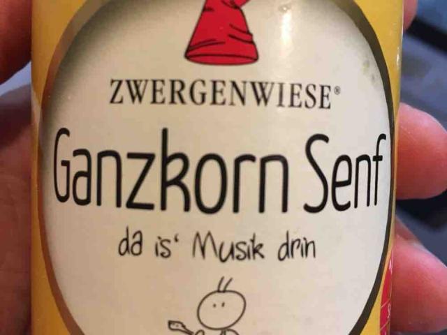 Senf Ganzkorn von mrclonk | Hochgeladen von: mrclonk