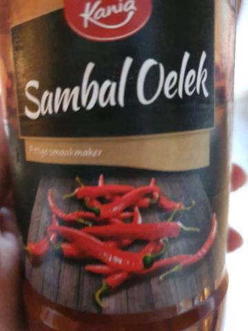 Sambal Oelek von JanaEjtlw | Hochgeladen von: JanaEjtlw