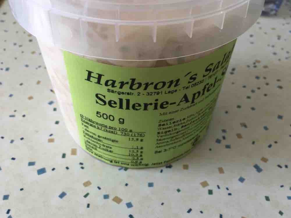 Apfel Sellerie Salat von Kegelrobbe1 | Hochgeladen von: Kegelrobbe1