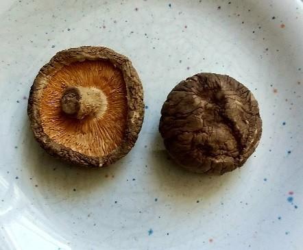 Shiitake Pilze, getrocknet | Hochgeladen von: Tahnee