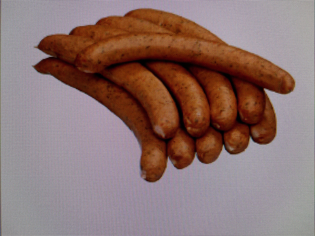 Toskana Bratwurst, mit Käse von hartmanns | Hochgeladen von: hartmanns Toskana Bratwurst, mit Käse von hartmanns | Hochgeladen von: hartmanns