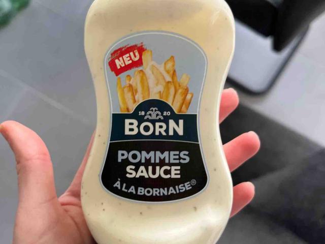 Pommes Sauce, A La Bornaise by laradamla | Uploaded by: laradamla