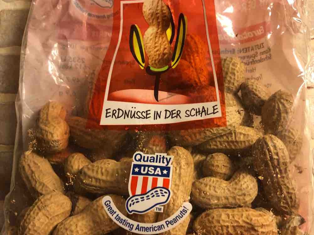 Erdnüsse in der Schale von kopka | Hochgeladen von: kopka