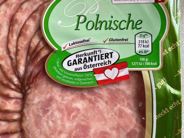 Polnische Fleischwurst by santaep | Uploaded by: santaep
